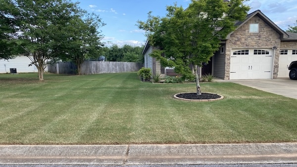 A freshly mowed green lawn
