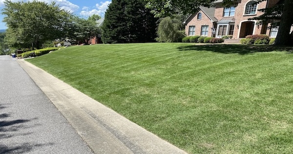 A freshly mowed green lawn
