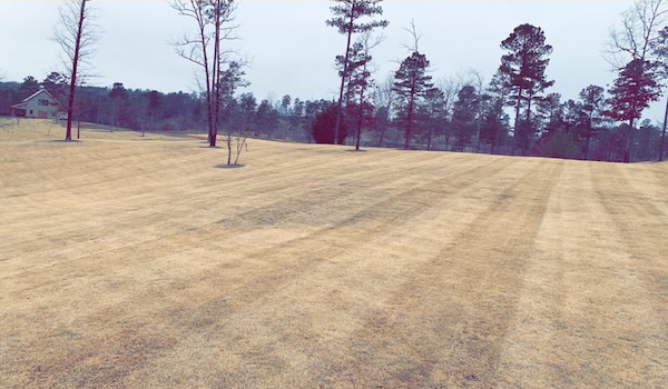 A large yard after being mowed in the winter.