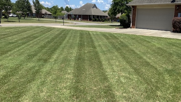 A freshly mowed green yard.