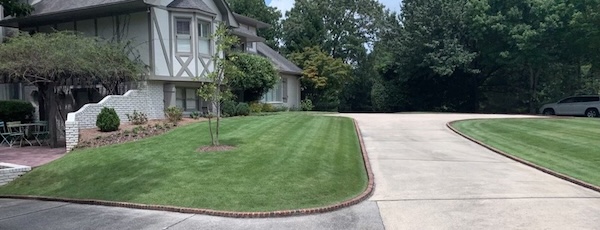 A freshly mowed green lawn