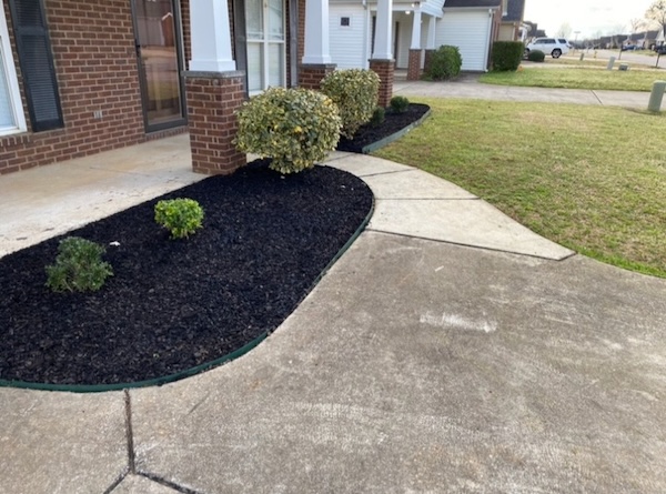 A landscape bed with fresh black mulch