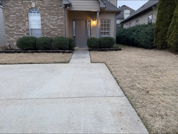 A front yard with neatly trimmed Boxwoods